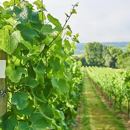 Farm stay Aldwick Estate *